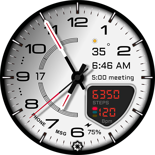 D355 Premium Watch Face