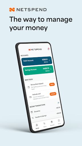 Netspend 19 Classic Netspend - Secure Financial Management | Free